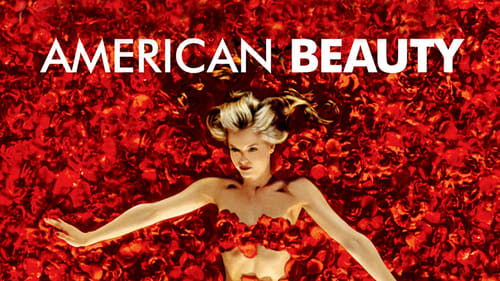 movies/2024-08-19/american-beauty-crG7qd0ioGrAdDW7UmTjk5dFeoW.jpg