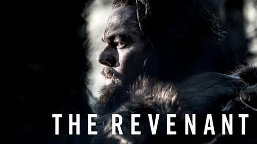 movies/2024-08-19/the-revenant-uB29RwxNsSmgp5FMrcMrGjs5IY9.jpg