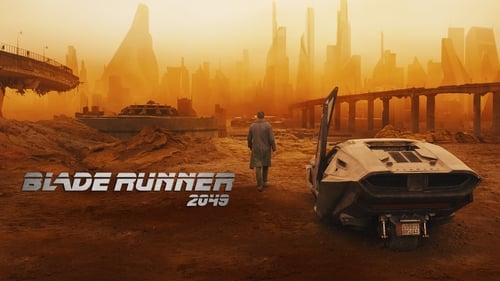 movies/2024-08-20/blade-runner-2049-wzKOeY5QSNpwCM1Vt0zwuuo68yM.jpg