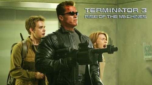 movies/2024-08-23/terminator-3-rise-of-the-machines-1bFQh2SglgpKj2VD8qMF4Ah0Xzf.jpg