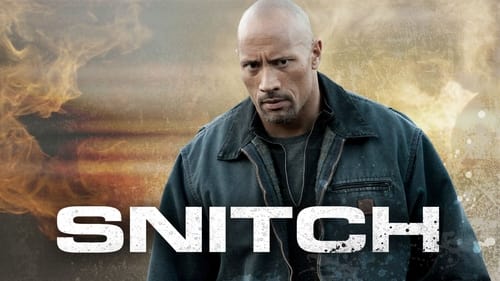 movies/2024-08-26/snitch-rqzIG6nHGyEl45CG4lZWGZ6yoKv.jpg