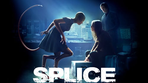 movies/2024-08-27/splice-wj0UavhFjJqZq2owEDwaay9nhrt.jpg