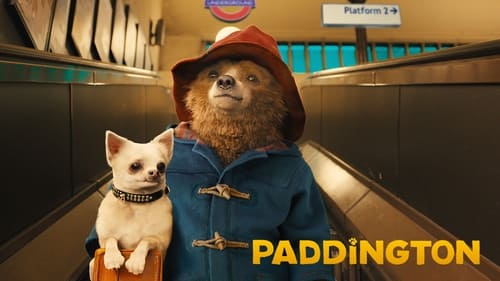 movies/2024-08-28/paddington-y9G7jCLUnCpjPqybvfsozDvcUpe.jpg