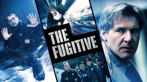 movies/2024-08-29/the-fugitive-fB6ptpWE2DU2ZNRJYz42XR1fyvr.jpg