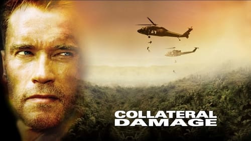 movies/2024-08-30/collateral-damage-kXJUvgReQRTeMhtKmqcB3mYOE3n.jpg