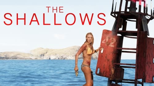 movies/2024-08-30/the-shallows-5dZBfvoH89x6SlIHvUnXOVjHHN9.jpg