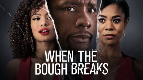 movies/2024-09-01/when-the-bough-breaks-8U0qZTvnEg087TcG5a92Sp1TSn3.jpg