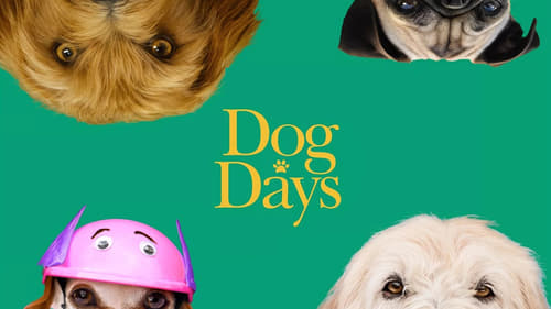 movies/2024-09-03/dog-days-5qMleSkwIUL2Y77j27NGyHoAanp.jpg