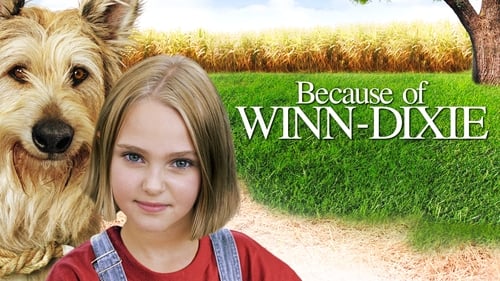 movies/2024-09-07/because-of-winn-dixie-ym71MJ9gujUmIU1DnNpGSYateI2.jpg