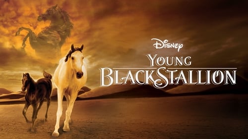 movies/2024-09-10/young-black-stallion-rNUfmJH1Px8noGgfOMoxZKgaKIa.jpg