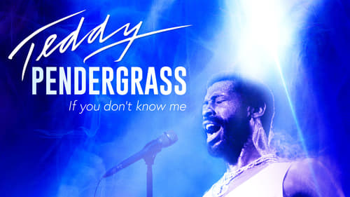 movies/2024-09-11/teddy-pendergrass-if-you-dont-know-me-9cno0lTIOhLBgMjKFfTn5Yv7N3H.jpg