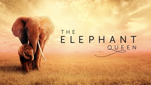 movies/2024-09-11/the-elephant-queen-j89k67Rd26rh8OMrzZlpRwCgHKM.jpg