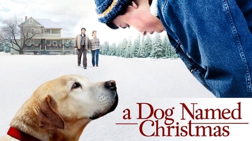 movies/2024-09-17/a-dog-named-christmas-mbNsCdtGvvdcsNVLIEUSuboWWtU.jpg