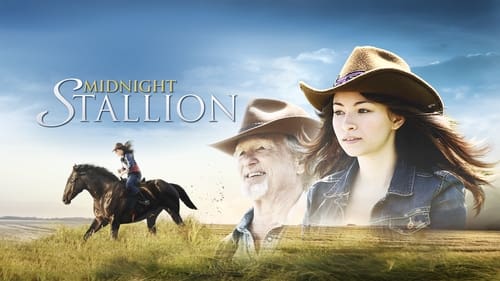 movies/2024-09-18/midnight-stallion-ngfsJfkcdJ2MkVs3DPtf9mmEFfQ.jpg