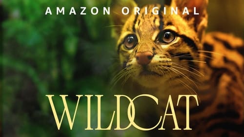 movies/2024-09-19/wildcat-upki5gvOQ2EBsHaTPKLMtdZu57U.jpg