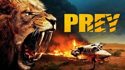 movies/2024-10-21/prey-za9YrIPFuIlwlllP0315DvJRHXo.jpg