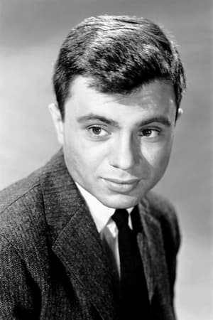 persons/2024-08-24/robert-blake-rVo4bYduWANT5x38YVL3ySbu1K4.jpg