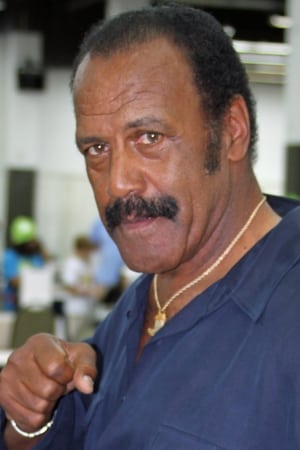 persons/2024-08-25/fred-williamson-nTa9lMSwHObQLgQ9e2DdbKqCyRP.jpg