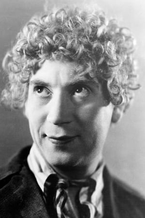 persons/2024-08-31/harpo-marx-j9n5oAZoPV2SvK2JL2mxqxIlFxk.jpg