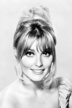 persons/2024-08-31/sharon-tate-28n4VDqKbpmjBG2SyVMc6ogg2BA.jpg