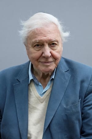 persons/2024-09-02/david-attenborough-bridrXAjBfymU2rnHiOeu8rnCIt.jpg