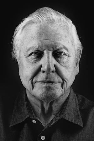 persons/2024-09-02/david-attenborough-yyLMX3HI2xYBCYzUhInX2gY19S0.jpg