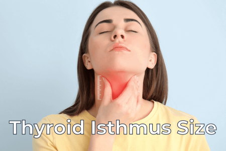 Can the thyroid gland be the only one responsible for excess weight?