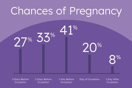 How to increase the chances of getting pregnant?