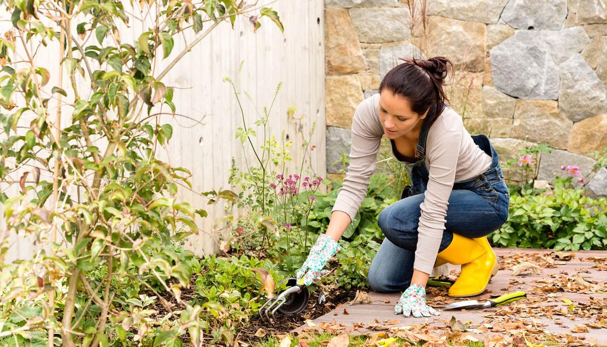 Tips for preparing your yard plants for the cold season