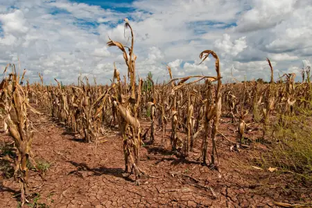 Humanity is running out of resources. Food crises, conflicts and natural disasters are coming, biodiversity specialists warn